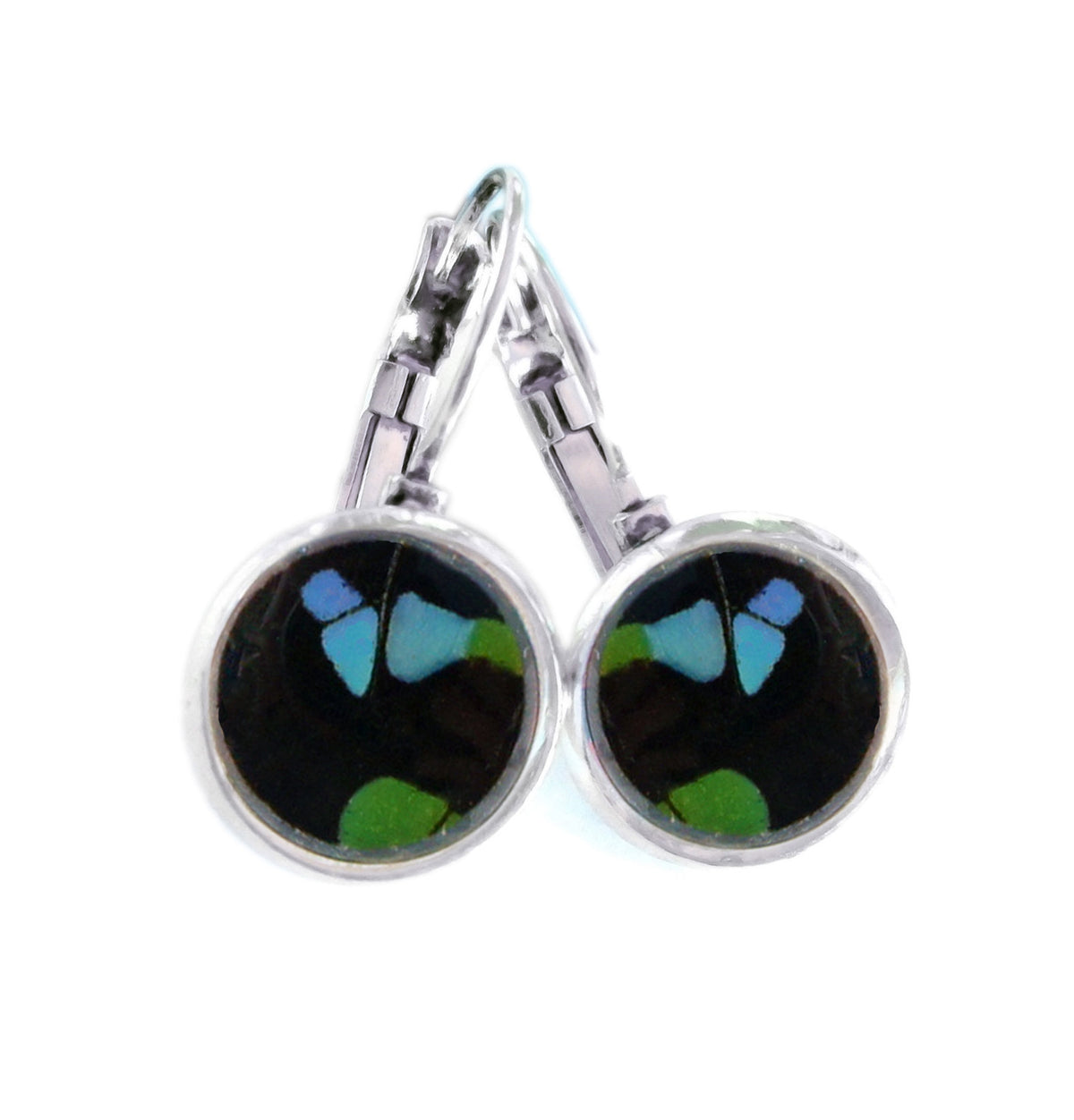Real Graphium weiskei butterfly wing post earrings