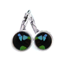 Load image into Gallery viewer, Real Butterfly Wing Post Earrings - Graphium Weiskei Hindwing
