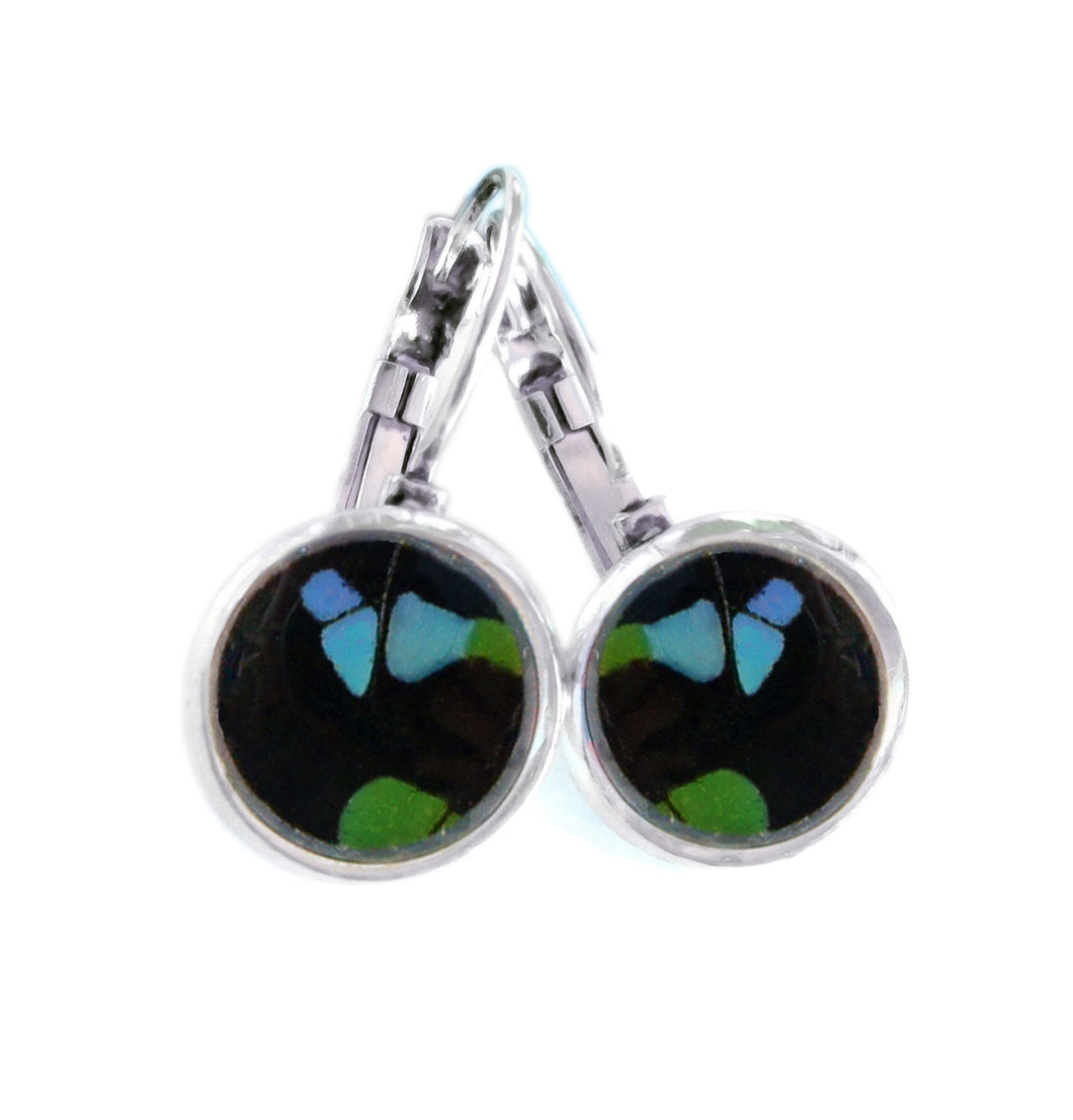 Real Butterfly Wing Post Earrings - Graphium Weiskei Hindwing