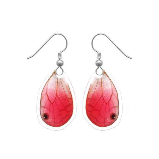 Real pink Blushing Phantom clearwing butterfly wing earrings