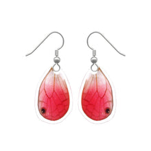 Load image into Gallery viewer, Real Butterfly Wing Earrings - Blushing Phantom
