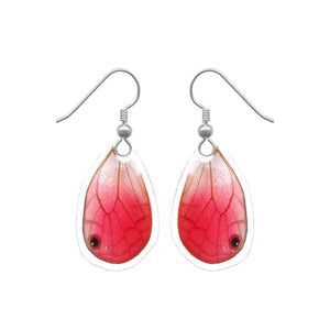 Real Butterfly Wing Earrings - Blushing Phantom