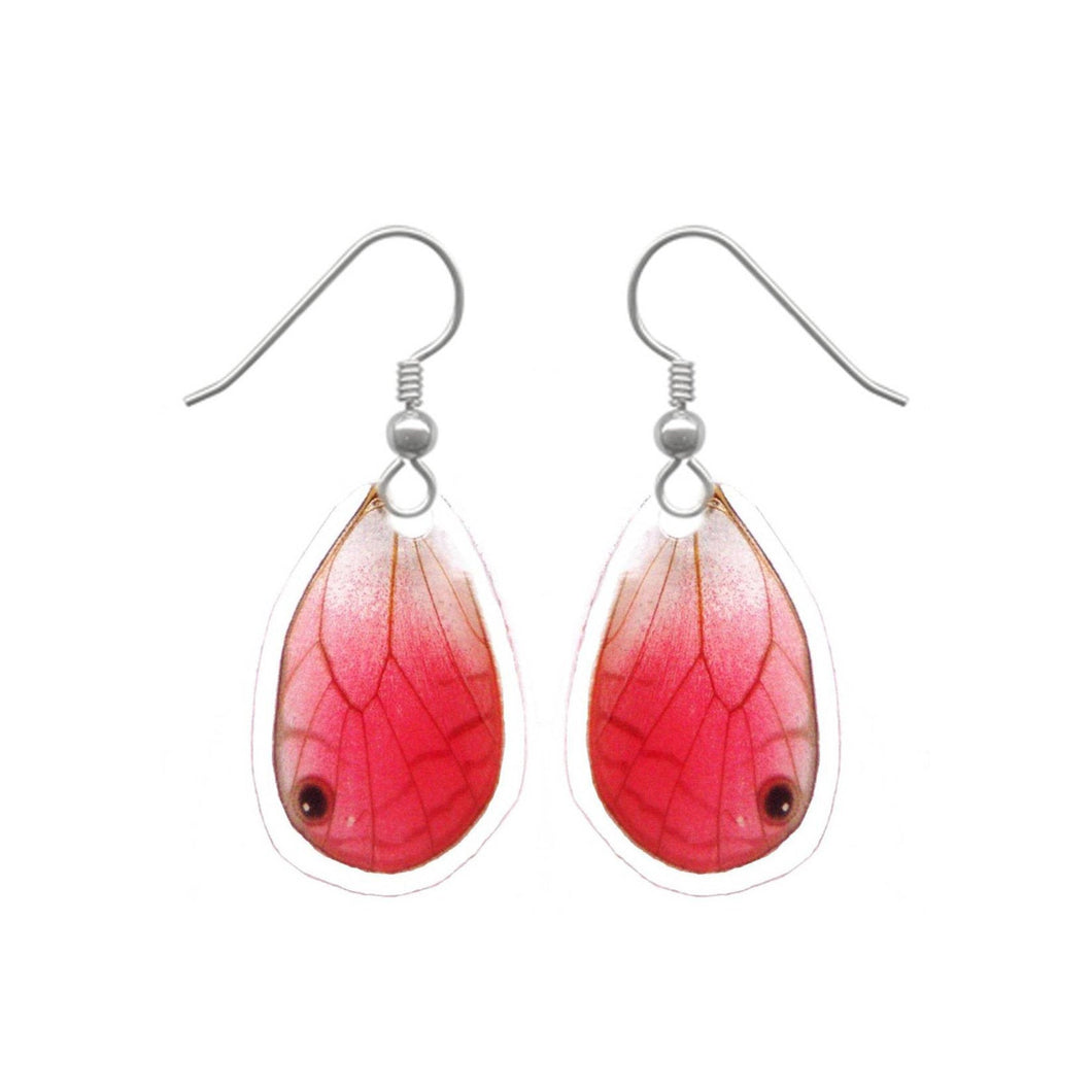 Real Butterfly Wing Earrings - Blushing Phantom