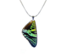 Load image into Gallery viewer, Recycled Butterfly Wing Necklace - Green Sunset Moth - Butterfly Gift, Nature Theme Jewelry
