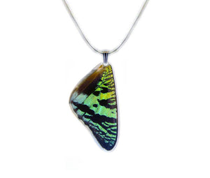 Recycled Butterfly Wing Necklace - Green Sunset Moth - Butterfly Gift, Nature Theme Jewelry