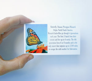 Monarch Butterfly Wing Necklace - Monarch Hindwing