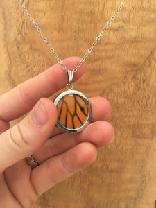 Monarch Butterfly Wing Circle Pendant Necklace - Monarch Hindwing