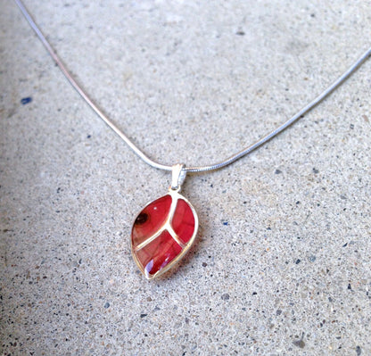 Real Blushing Phantom wing in a sterling silver leaf necklace