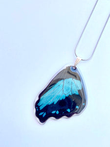 Blue Butterfly Wing Necklace - Papilio Bromius
