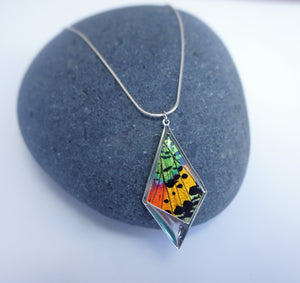 Real Butterfly Wing Kite Pendant Necklace - Sunset Moth Hindwing