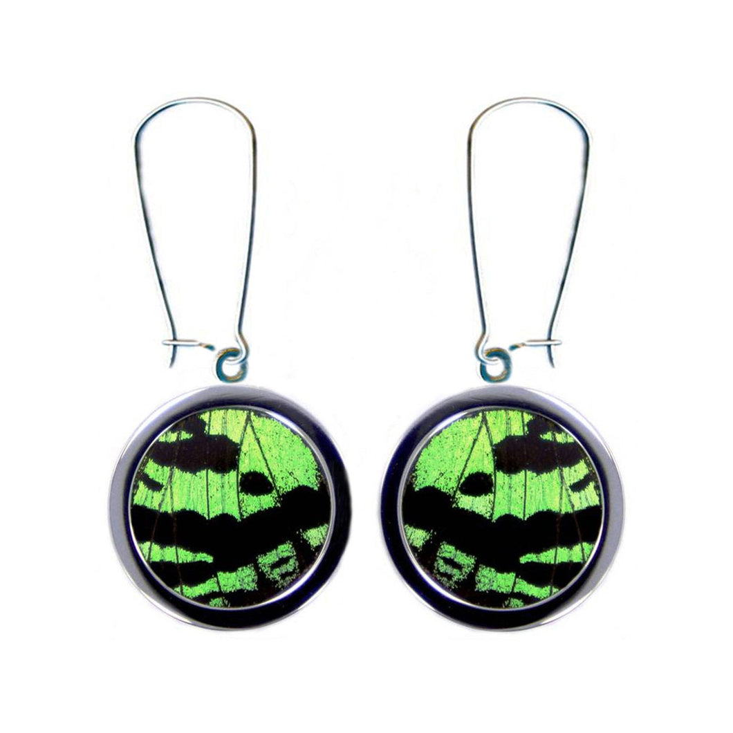 Recycled Butterfly Wing Circle Stainless Steel Pendant Earrings - Green Sunset Moth Forewing - Nature Art, Nature Jewelry, Butterflies