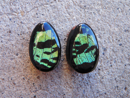Green Sunset Moth teardrop plugs, additional view