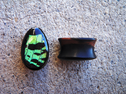 Green Sunset Moth teardrop plugs, alternate view