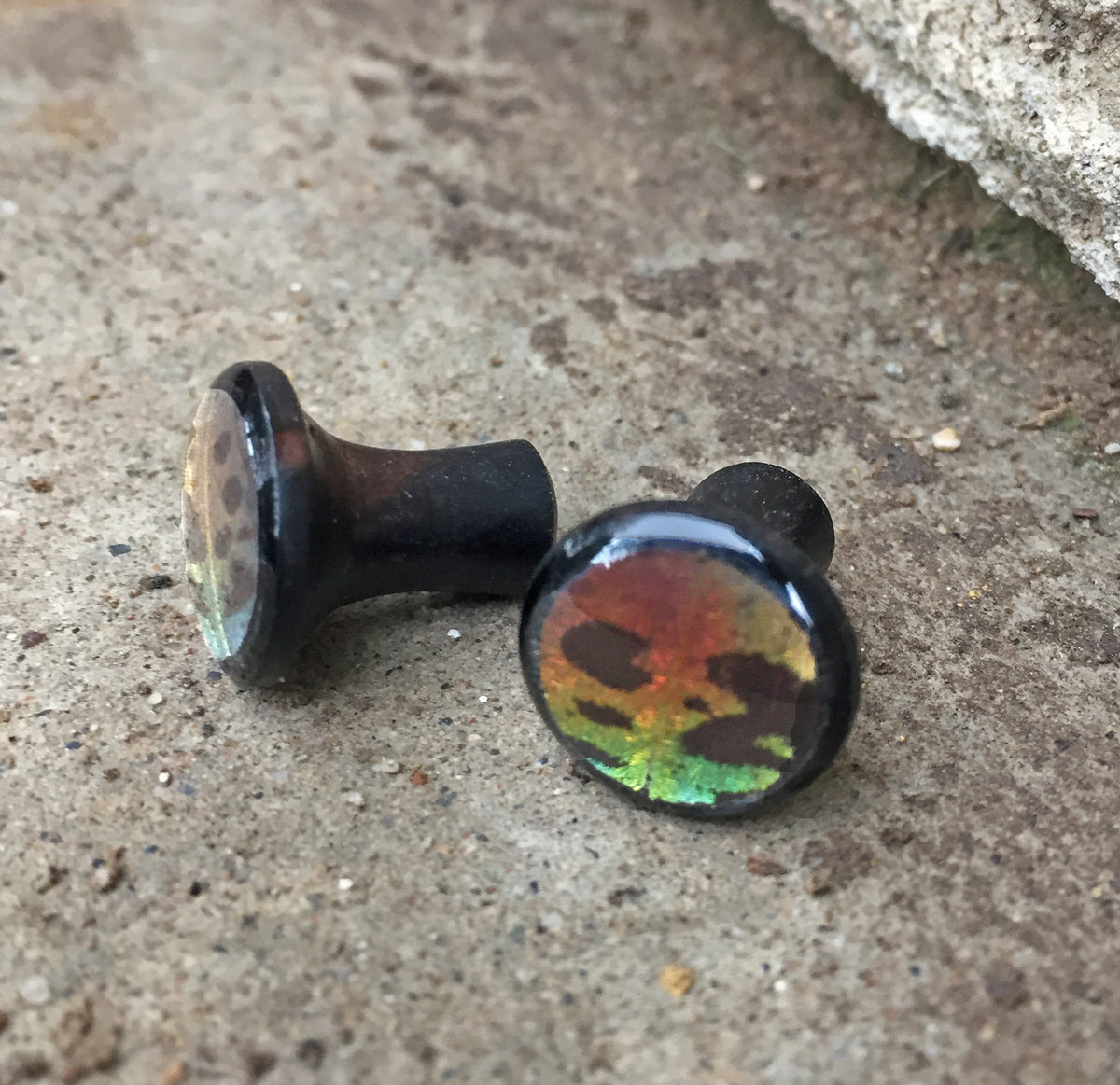 Sunset Moth wood plugs, alternate view