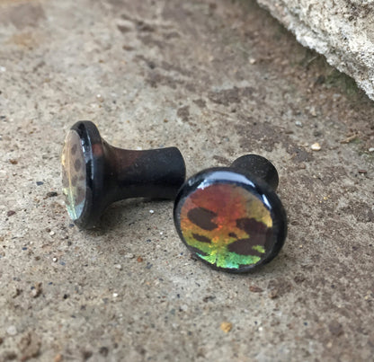 Sunset Moth wood plugs, alternate view