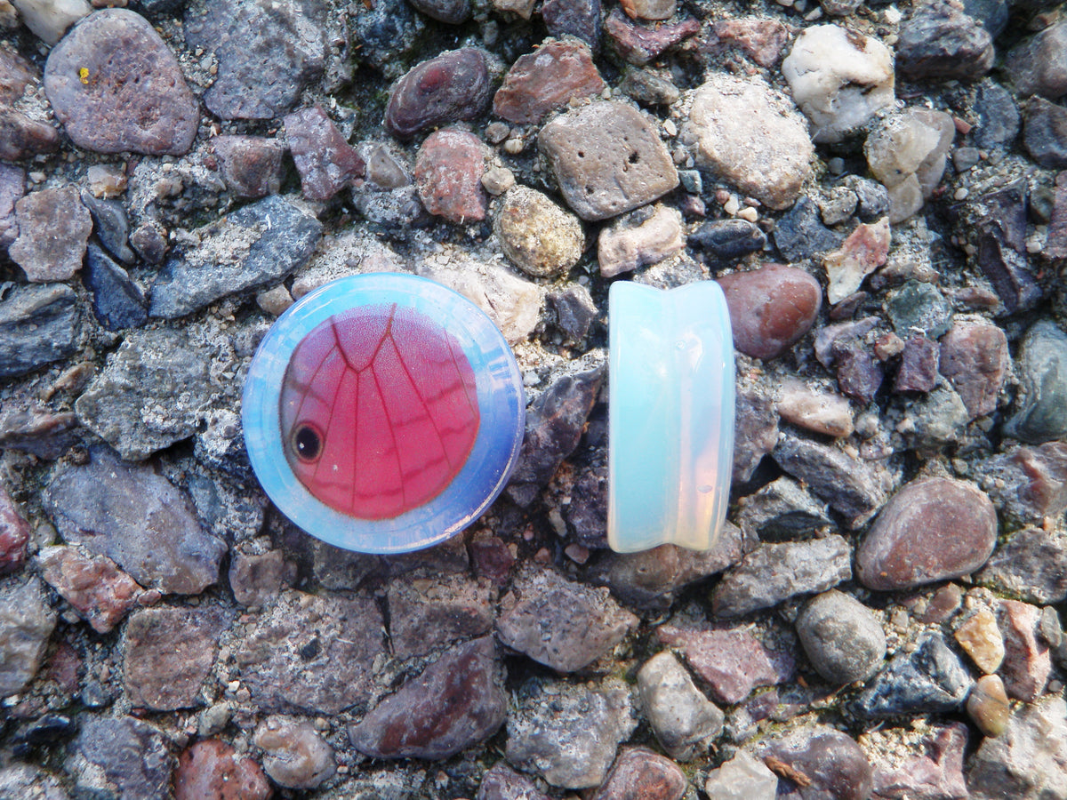 Opalescent stone wing plugs, alternate view