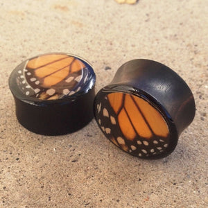 Real Moth Wing Circle Plugs 1/2"-1 1/2"- Monarch Forewing - Body Jewelry, Gauges, Plugs