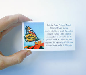 Butterfly Wing Cufflinks - Monarch Forewing - Unique Cufflinks for Men