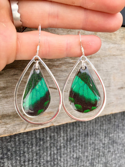 Real emerald green butterfly wing earrings in sterling silver