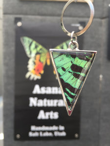 Extra Long Chain Butterfly Wing Necklace - Green Sunset Moth
