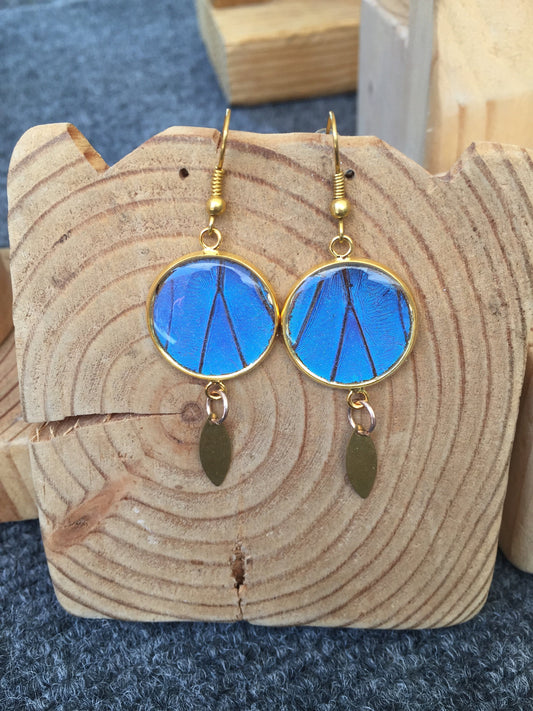 Blue Morpho gold-plated earrings, alternate view