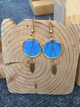 Load image into Gallery viewer, Blue Morpho Gold-Plated Pendant Butterfly Earrings
