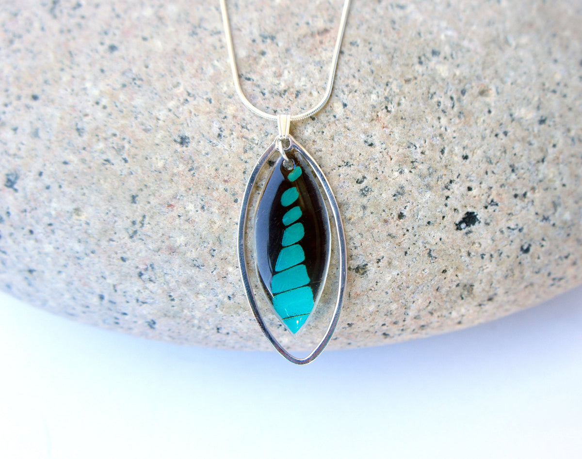 Real Graphium milon butterfly wing necklace in sterling silver