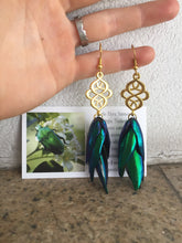 Load image into Gallery viewer, Real Beetle Wing Earrings - Celtic Knot
