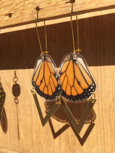 Monarch Butterfly Wing Chevron Earrings