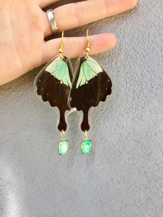 Papilio phorcas wing earrings, alternate view