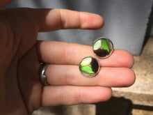 Load image into Gallery viewer, Electric Green Butterfly Wing Post Earrings - Graphium Weiskei Green
