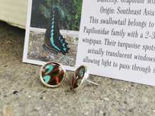 Load image into Gallery viewer, Recycled Butterfly Wing Post Earrings - Graphium Milon - Butterfly Jewelry, Butterfly Gift, Jewelry Gift
