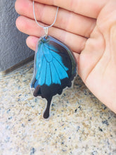 Load image into Gallery viewer, Recycled Butterfly Wing Necklace - Papilio Ulysses Hindwing - Butterfly Gift, Nature Theme Jewelry
