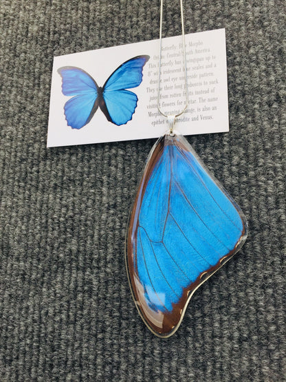 Blue Morpho wing necklace, additional view