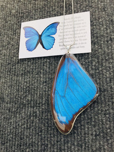 Recycled Butterfly Wing Necklace - Blue Morpho - Butterfly Gift, Nature Theme Jewelry