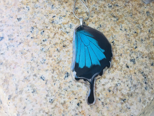 Real blue Papilio ulysses hindwing necklace