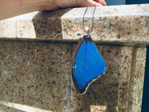 Recycled Butterfly Wing Necklace - Blue Morpho - Butterfly Gift, Nature Theme Jewelry