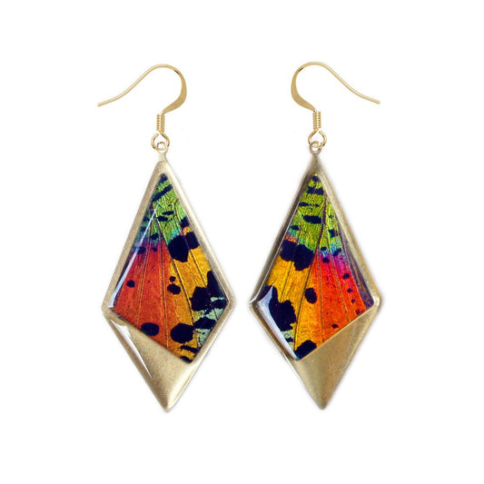 Real rainbow Sunset Moth wing kite pendant earrings