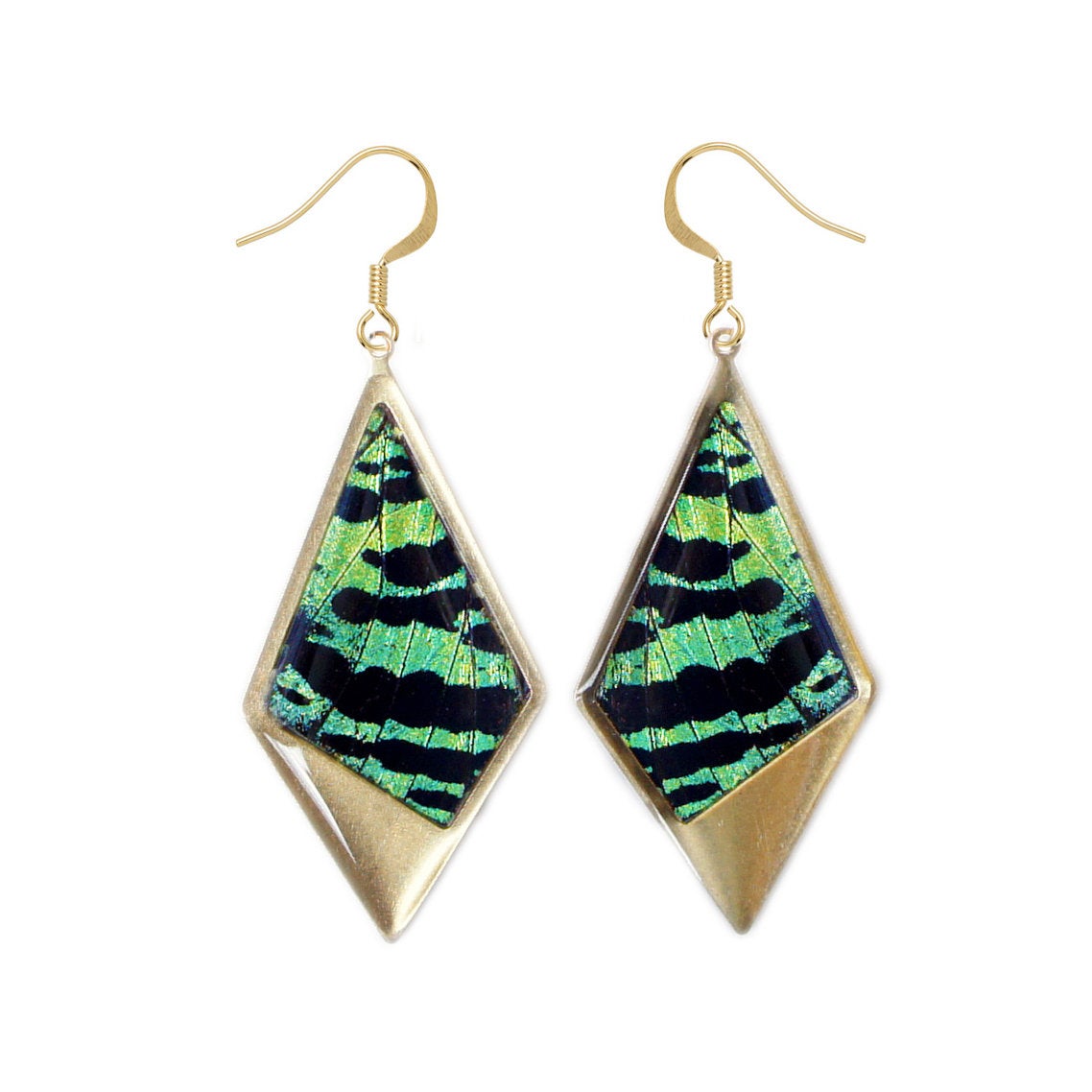 Real green Sunset Moth wing drop kite earrings