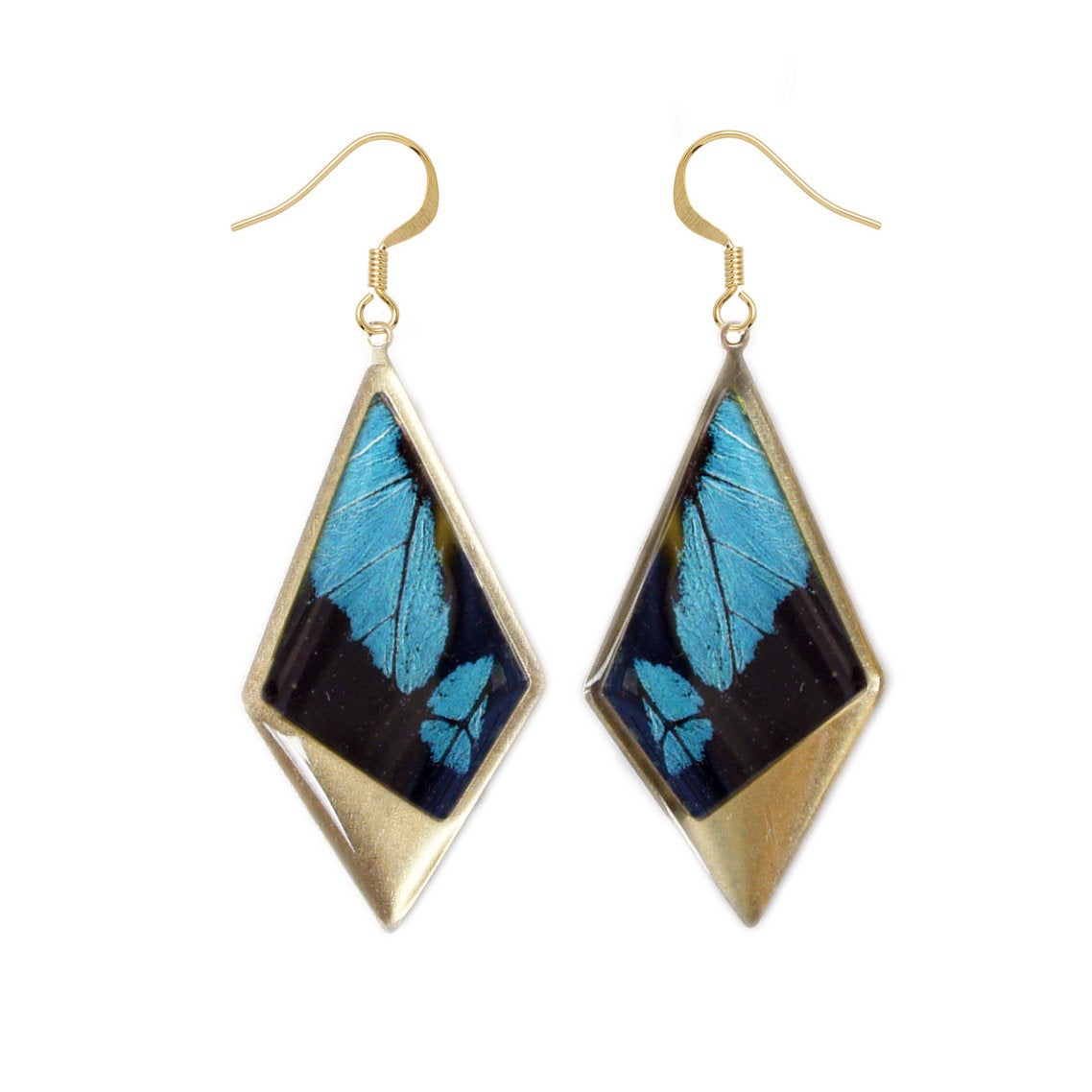 Real blue Papilio bromius wing kite pendant earrings