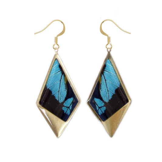 Real blue Papilio bromius wing kite pendant earrings