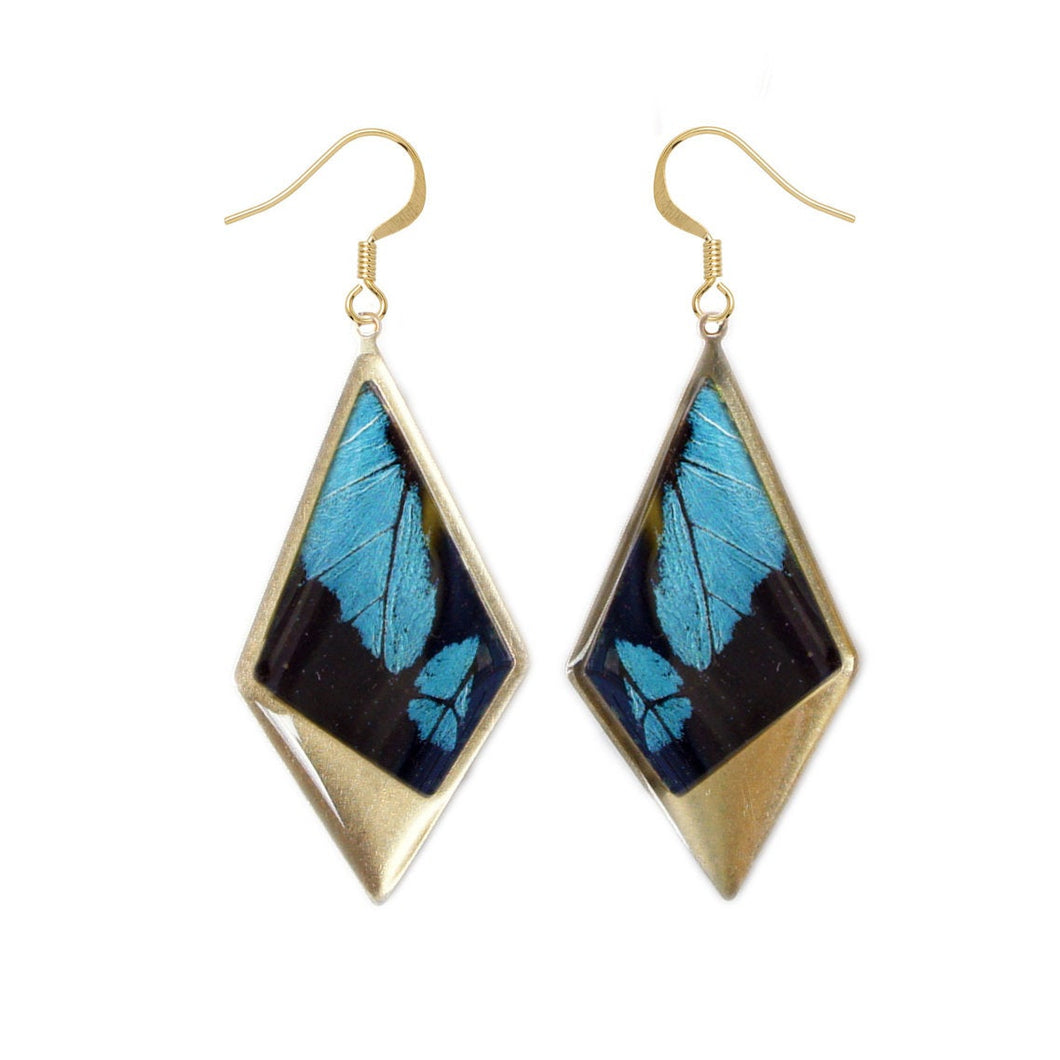 Real Blue Butterfly Kite Pendant Earrings - Papilio Bromius