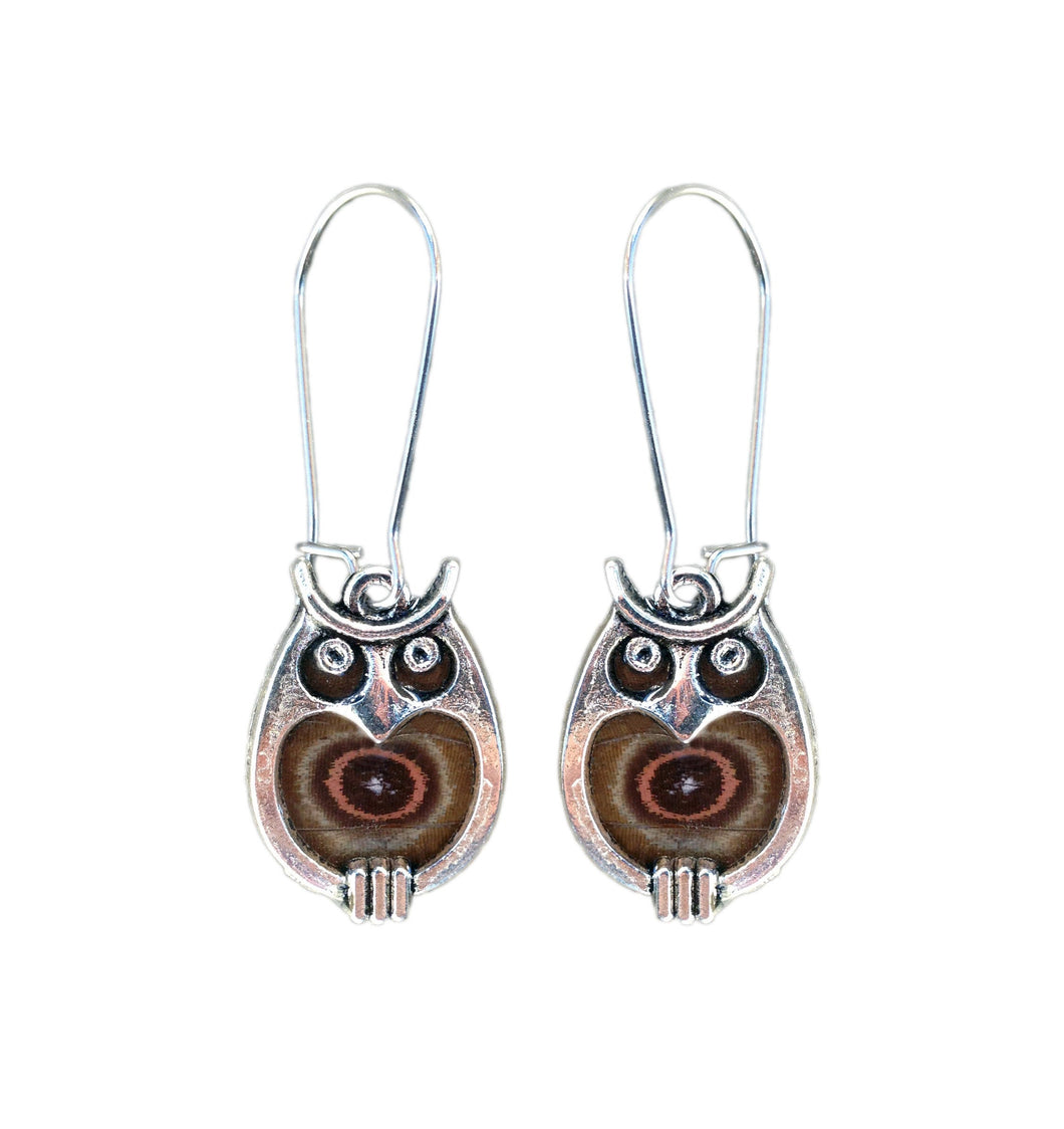 Butterfly Wing Owl Earrings - Butterfly Gift, Nature Theme Jewelry