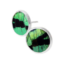 Load image into Gallery viewer, Green Butterfly Wing Post Earrings - Sunset Moth Forewing
