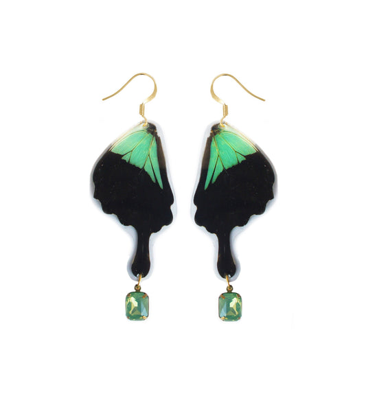 Real green Papilio phorcas butterfly wing charm earrings