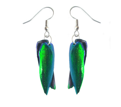 Real iridescent green beetle wing earrings showing front and back