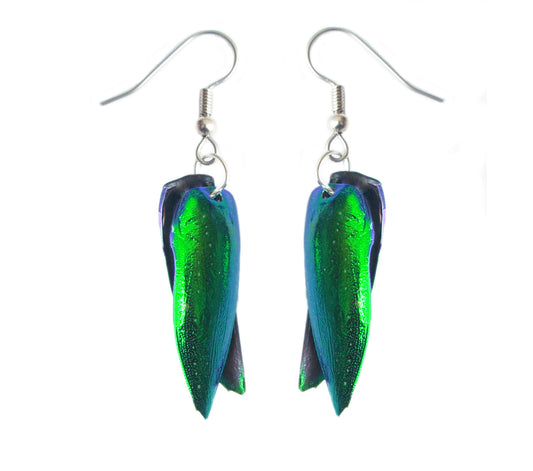 Real iridescent green beetle wing earrings showing front and back