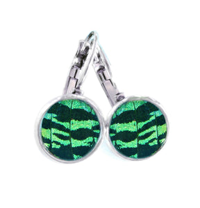 Real Butterfly Wing Post Earrings - Green Sunset Moth