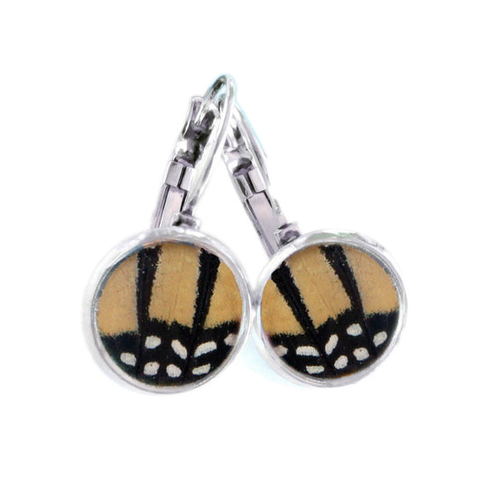 Real Monarch butterfly wing post earrings with polka dot pattern