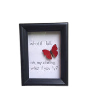 Load image into Gallery viewer, 5x7 Inspirational Butterfly Shadowbox - Cymothoe Sangaris
